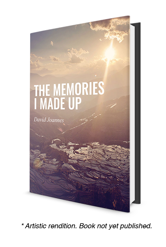 The-Memories-I-Made-Up-Hardcover-dislaimer